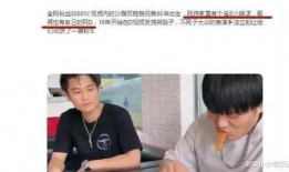 小杨哥兄弟爆料视频播放,揭秘幕后真相